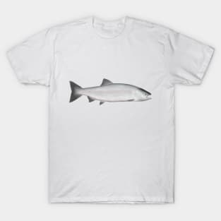 Pink Salmon - Ocean Phase T-Shirt